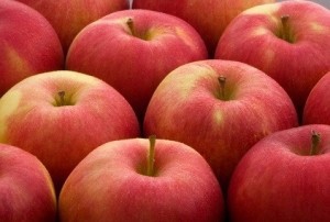 Bezpłatne wydawanie jabłek - 25 października