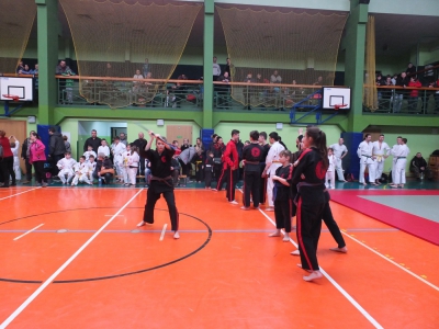 XIII  Puchar  Podbeskidzia  w  Ju-Jitsu i Karate - zdjęcie20
