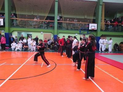 XIII  Puchar  Podbeskidzia  w  Ju-Jitsu i Karate - zdjęcie19