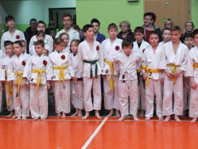XIII  Puchar  Podbeskidzia  w  Ju-Jitsu i Karate - zdjęcie12