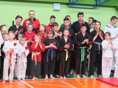 XIII  Puchar  Podbeskidzia  w  Ju-Jitsu i Karate - zdjęcie7
