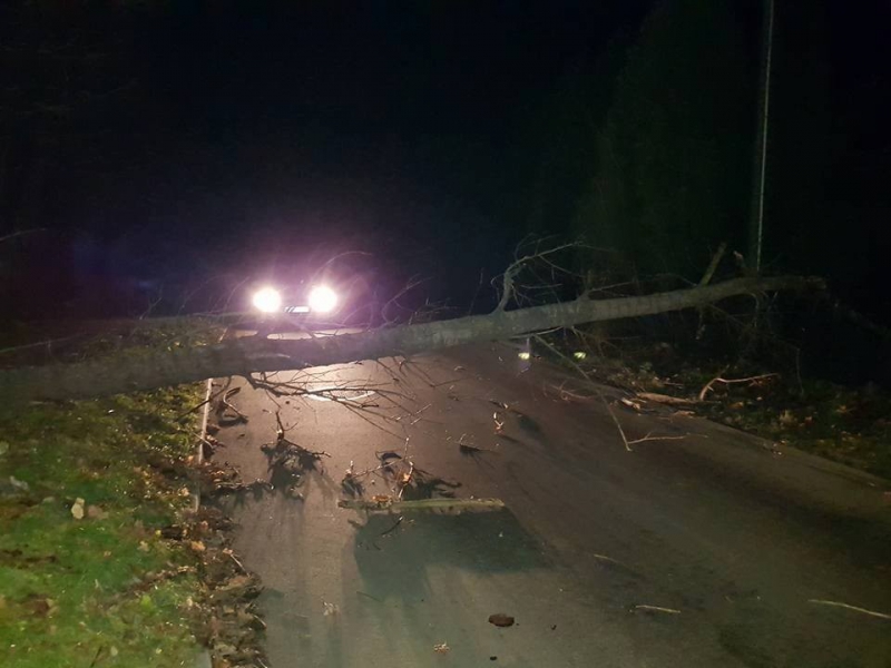 Ostrzeżenie meteorologiczne - Silny wiatr