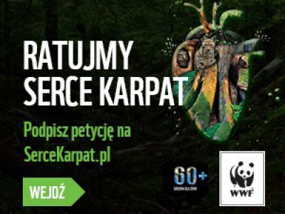 Ratujmy Serce Karpat w Godzinę dla Ziemi WWF - zdjęcie2