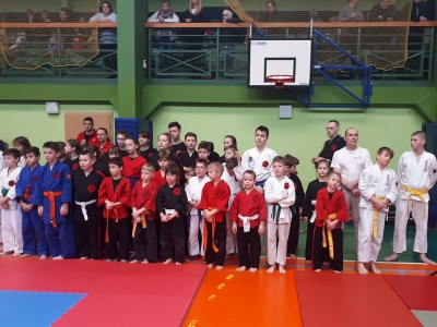 XIV Puchar Podbeskidzia w Ju-Jitsu i Karate - zdjęcie2