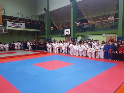 XIV Puchar Podbeskidzia w Ju-Jitsu i Karate - zdjęcie4