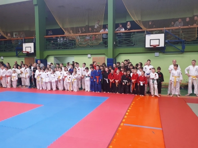 XIV Puchar Podbeskidzia w Ju-Jitsu i Karate - zdjęcie1