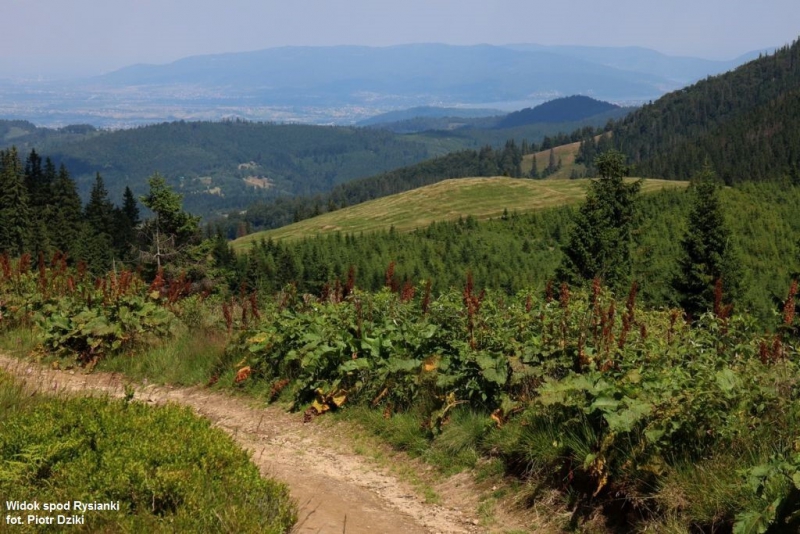 Konkurs fotograficzny „Krajobraz i przyroda województwa śląskiego”