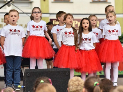 Wspomnienie Jubileuszu Miasta Żywca - Dzień Młodości - zdjęcie91