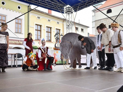 Wspomnienie Jubileuszu Miasta Żywca - Dzień Młodości - zdjęcie45