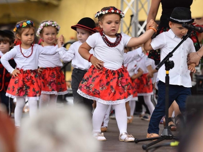 Wspomnienie Jubileuszu Miasta Żywca - Dzień Młodości - zdjęcie16