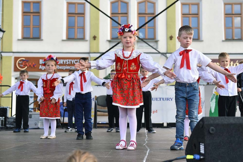 Wspomnienie Jubileuszu Miasta Żywca - Dzień Młodości