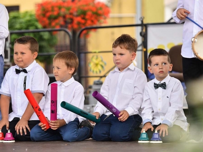 Wspomnienie Jubileuszu Miasta Żywca - Dzień Młodości - zdjęcie228