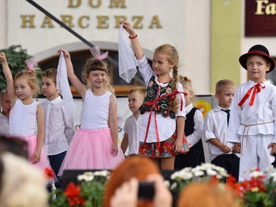 Wspomnienie Jubileuszu Miasta Żywca - Dzień Młodości - zdjęcie231