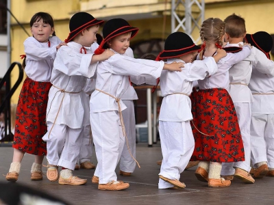 Wspomnienie Jubileuszu Miasta Żywca - Dzień Młodości - zdjęcie223