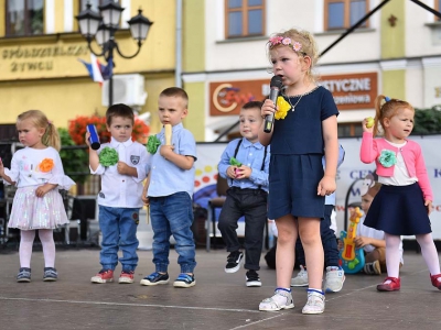 Wspomnienie Jubileuszu Miasta Żywca - Dzień Młodości - zdjęcie221