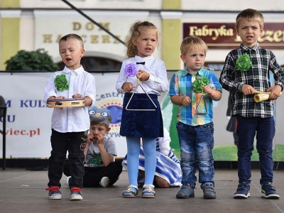 Wspomnienie Jubileuszu Miasta Żywca - Dzień Młodości - zdjęcie219