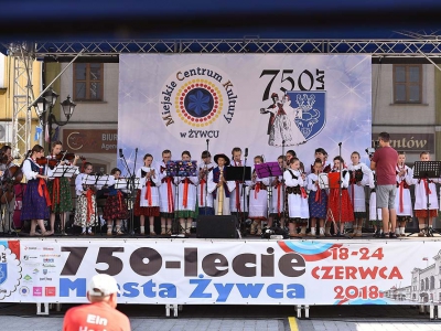 Wspomnienie Jubileuszu Miasta Żywca - Prezentacje Gmin - zdjęcie14