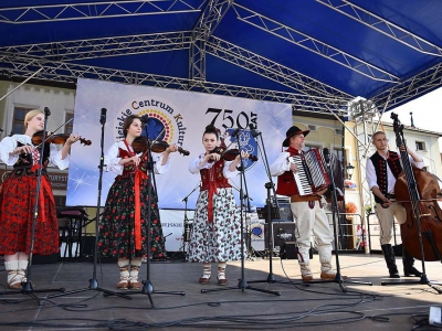 Wspomnienie Jubileuszu Miasta Żywca - Prezentacje Gmin - zdjęcie46