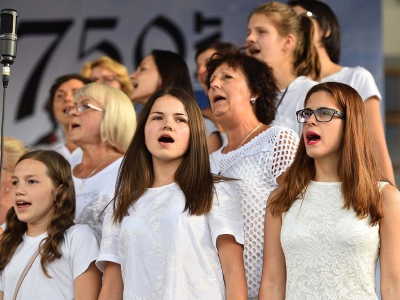 Wspomnienie Jubileuszu Miasta Żywca - Prezentacje Gmin - zdjęcie10