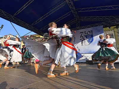 Wspomnienie Jubileuszu Miasta Żywca - Prezentacje Gmin - zdjęcie43