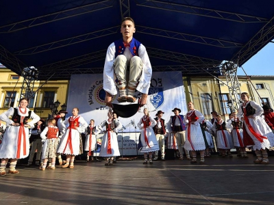 Wspomnienie Jubileuszu Miasta Żywca - Prezentacje Gmin - zdjęcie17