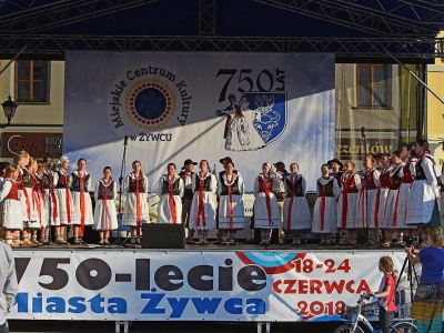 Wspomnienie Jubileuszu Miasta Żywca - Prezentacje Gmin - zdjęcie29