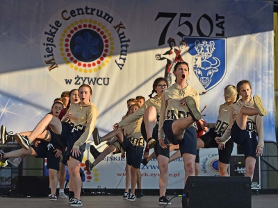 Wspomnienie Jubileuszu Miasta Żywca - Prezentacje Gmin - zdjęcie34