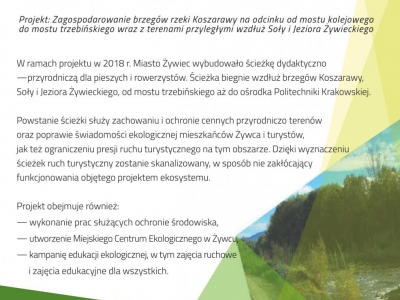 Aktywność fizyczna na ścieżce - zajęcia - zdjęcie1