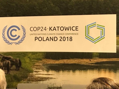 Szczyt Klimatyczny COP24 - zdjęcie5