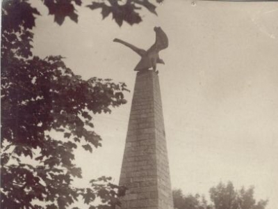 Pomnik Grunwaldzki - zdjęcie54