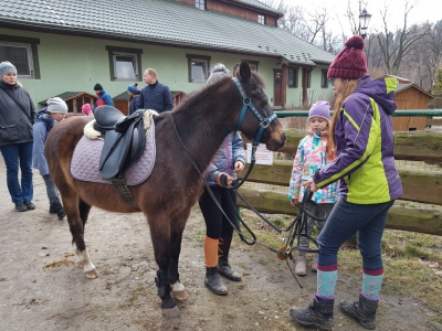 Zwierzo-Ferie (podsumowanie) - zdjęcie39