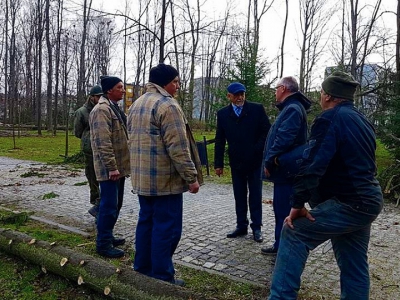 Żywiecki park po przejściu nawałnicy - zdjęcie17