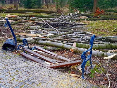 Żywiecki park po przejściu nawałnicy - zdjęcie1