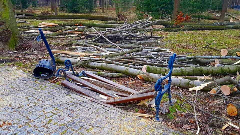 Żywiecki park po przejściu nawałnicy