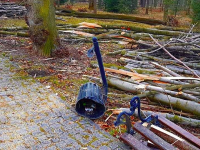 Żywiecki park po przejściu nawałnicy - zdjęcie8