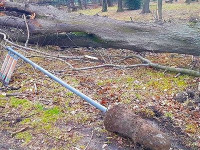 Żywiecki park po przejściu nawałnicy - zdjęcie7