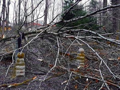 Żywiecki park po przejściu nawałnicy - zdjęcie5