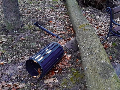 Żywiecki park po przejściu nawałnicy - zdjęcie2