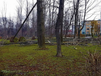 Żywiecki park po przejściu nawałnicy - zdjęcie16