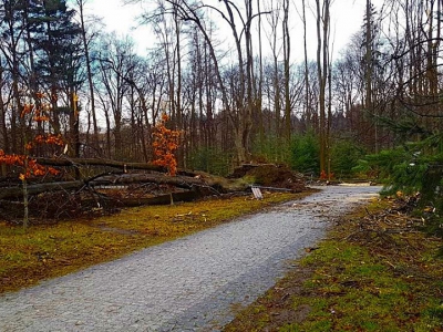 Żywiecki park po przejściu nawałnicy - zdjęcie12