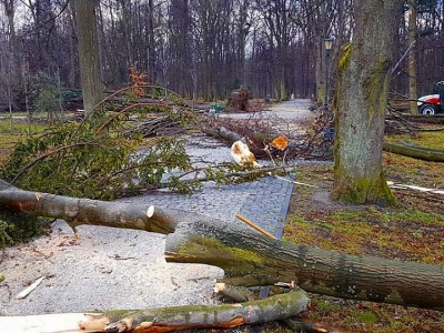 Żywiecki park po przejściu nawałnicy - zdjęcie14