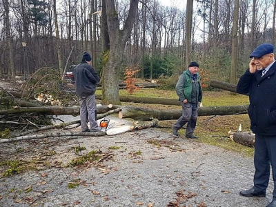 Żywiecki park po przejściu nawałnicy - zdjęcie13