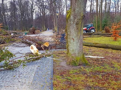 Żywiecki park po przejściu nawałnicy - zdjęcie10