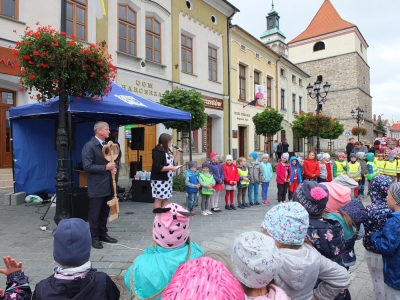 Dzień Przedszkolaka na żywieckim Rynku 2019 - zdjęcie67