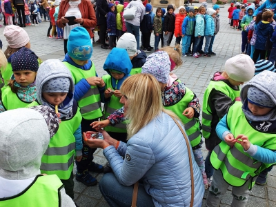 Dzień Przedszkolaka na żywieckim Rynku 2019 - zdjęcie14