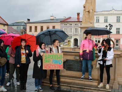 Strajk Klimatyczny w Żywcu - zdjęcie8