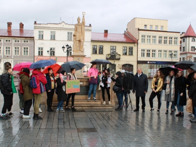 Strajk Klimatyczny w Żywcu - zdjęcie12