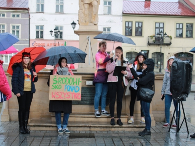 Strajk Klimatyczny w Żywcu - zdjęcie11