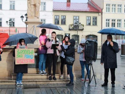 Strajk Klimatyczny w Żywcu - zdjęcie7