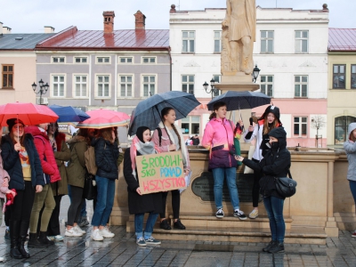 Strajk Klimatyczny w Żywcu - zdjęcie6